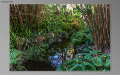 Botanical Gardens 2016 10 SS-07.jpg